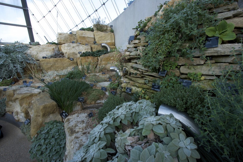 Alpine House 5